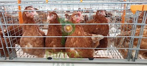 Petros Farms place picture