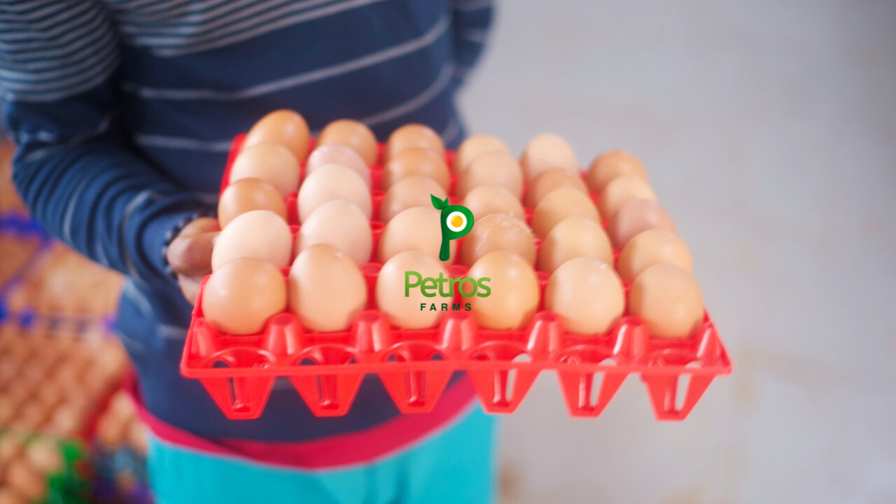 Colorful 30-cell egg flats, stackable & reusable plastic egg crate holder trays, ideal for egg storage and transportation.