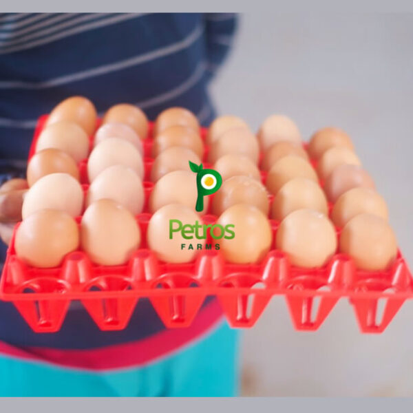 Colorful 30-cell egg flats, stackable & reusable plastic egg crate holder trays, ideal for egg storage and transportation.