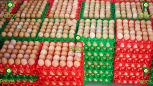 Multiple colored crates holding farm-fresh brown eggs, each crate containing 30 eggs. A colorful display of freshness from Petros Farms.