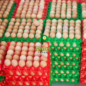 Multiple colored crates holding farm-fresh brown eggs, each crate containing 30 eggs. A colorful display of freshness from Petros Farms.