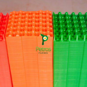 Colorful 30-cell egg flats, stackable & reusable plastic egg crate holder trays, ideal for egg storage and transportation.