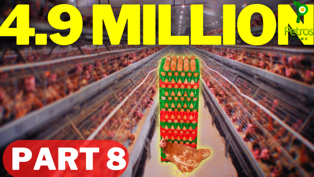 Are You Losing Money by Depopulating Hens at 75 Weeks?