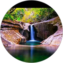 pardo videhouenou profile picture